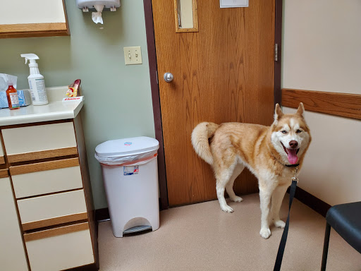 Sparta Animal Clinic image