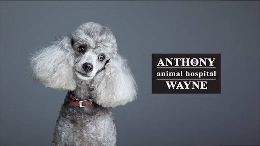 900 Conant St, Maumee, OH 43537, USA