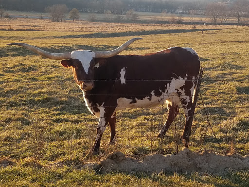 Winery «Madison County Winery», reviews and photos, 3021 St Charles Rd, St Charles, IA 50240, USA