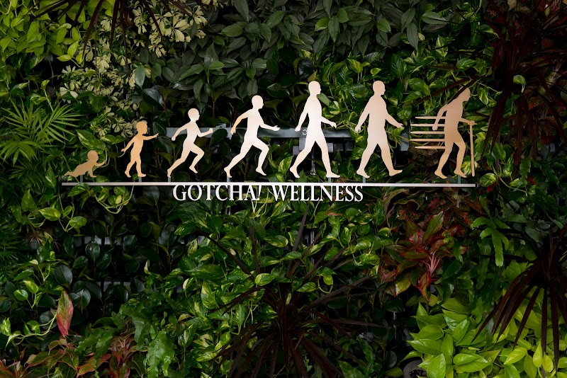 GOTCHA! WELLNESS 白山