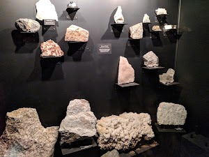 Museum of Geosciences - photo 17