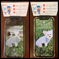 Corpus Christi Cell Repair - Photo 9 - Car repair in Corpus Christi, TX, Corpus Christi