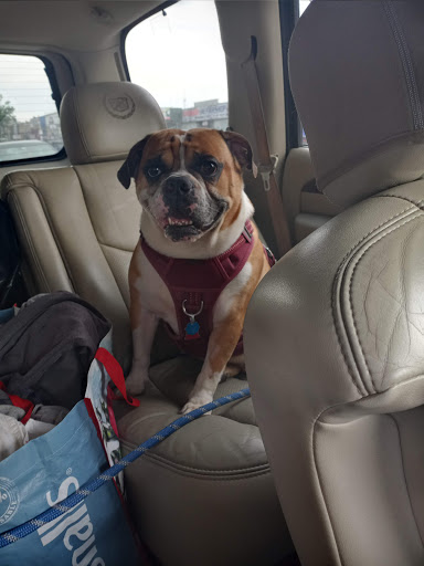 Used Car Dealer «Carsbuck inc», reviews and photos, 776 Coney Island Ave, Brooklyn, NY 11218, USA