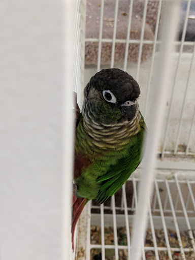 Pet Supply Store «Pet Valu», reviews and photos, 541 S Breiel Blvd, Middletown, OH 45044, USA