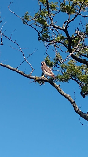 Park «Crocheron Park», reviews and photos, 214-41 34th Ave, Bayside, NY 11361, USA