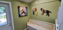 Cozy Quarters Pet Inn - Photo 2 - Car repair in Lincoln, RI, Providence