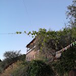 Photo n°37 de l'avis de Dario. fait le 21/06/2022 à 09:37 sur le  Torre Ferano à Vico Equense