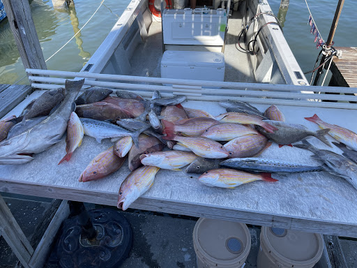 Fishing Charter «Bent Charters Offshore Fishing», reviews and photos, 503 150th Ave, Madeira Beach, FL 33708, USA
