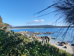 Foto di Beerbarrel Beach area servizi
