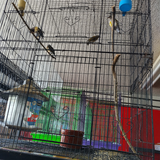 Animal Feed Store «Whittier Feed Store», reviews and photos, 12618 Penn St, Whittier, CA 90602, USA