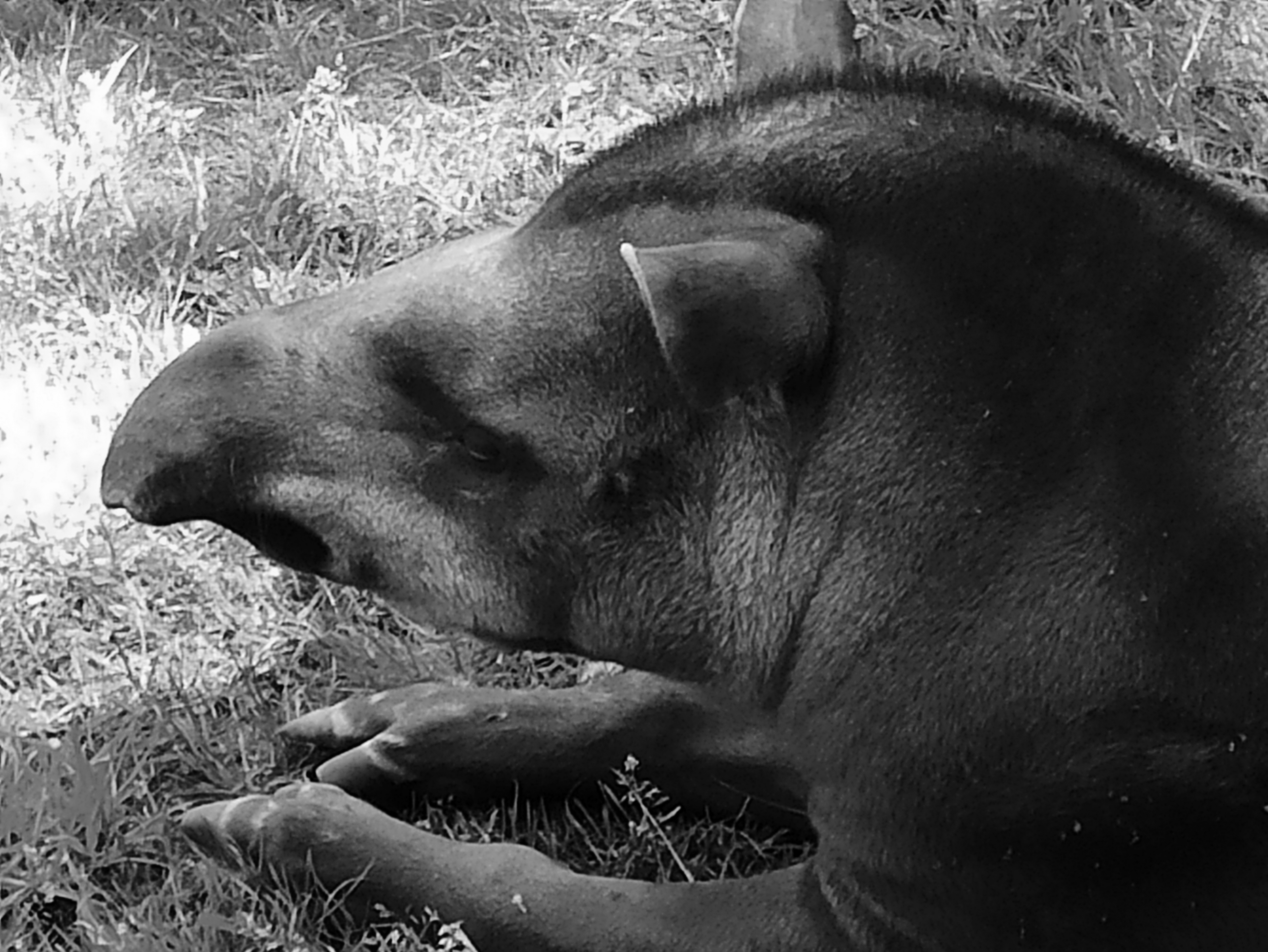 Photo n° 6 de l'avis de Johannes.o fait le 21/02/2019 à 14:04