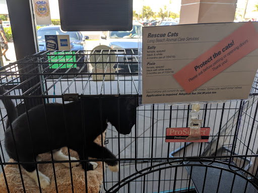 Pet Supply Store «Paw Shoppe Pet Center», reviews and photos, 6416 E Spring St, Long Beach, CA 90815, USA
