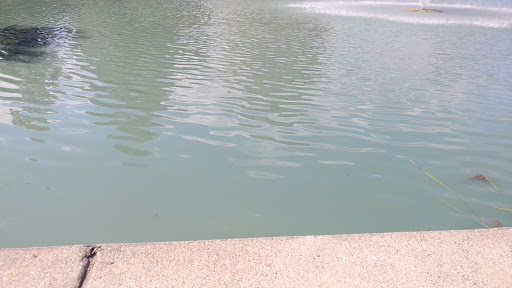 Park «St Clair Shores Park», reviews and photos, 20000 Stephens, St Clair Shores, MI 48080, USA