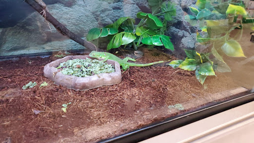 Pet Supply Store «Petco Animal Supplies», reviews and photos, 1893 W Main St, Troy, OH 45373, USA