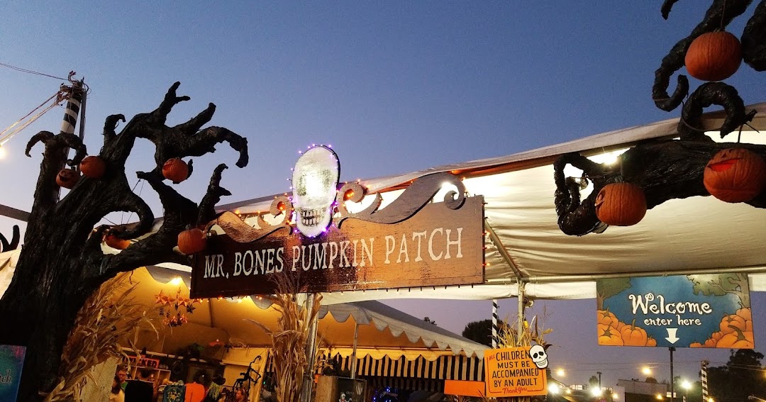 Mr. Bones Pumpkin Patch