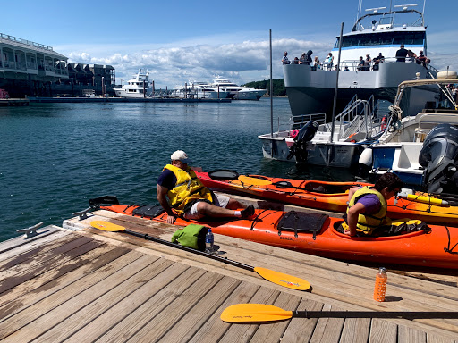 Tourist Information Center «Coastal Kayaking Tours Inc», reviews and photos, 48 Cottage St, Bar Harbor, ME 04609, USA