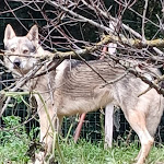 Photo n°2 de l'avis de Domenico.a fait le 08/12/2023 à 15:35 sur le  El Merendero à Amelia