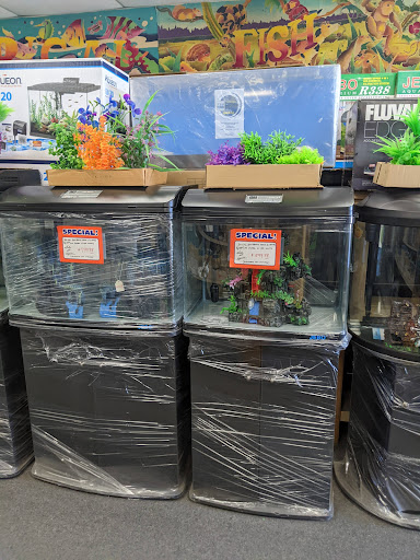 Pet Store «Fontana Tropical Fish & Pets», reviews and photos, 9830 Sierra Ave, Fontana, CA 92335, USA