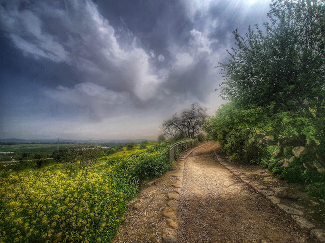 פארק גבעת תיתורה - מודיעין מכבים רעות