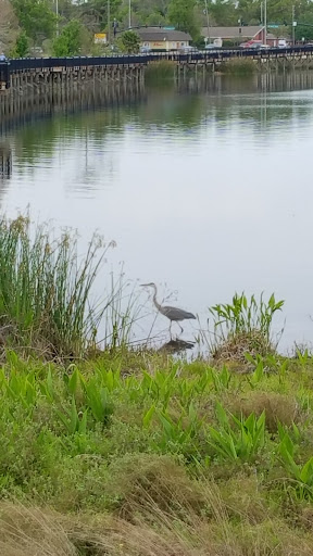 Park «Lake Concord Park», reviews and photos, 95 Triplet Lake Dr, Casselberry, FL 32707, USA