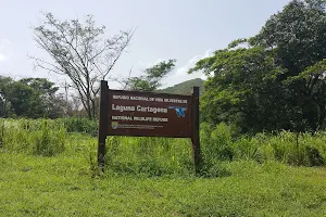 Refugio Nacional de Vida Silvestre Laguna Cartagena image