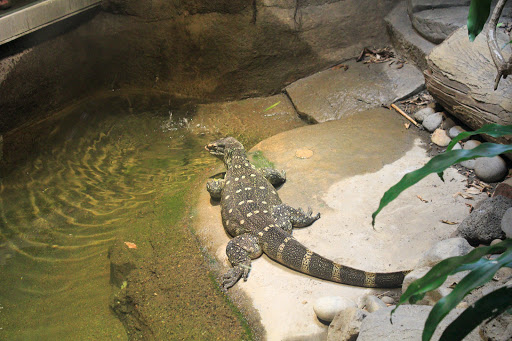 Zoo «Oregon Zoo», reviews and photos, 4001 Southwest Canyon Road, Portland, OR 97221, USA