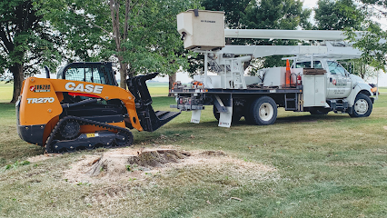 Tarzan tree service