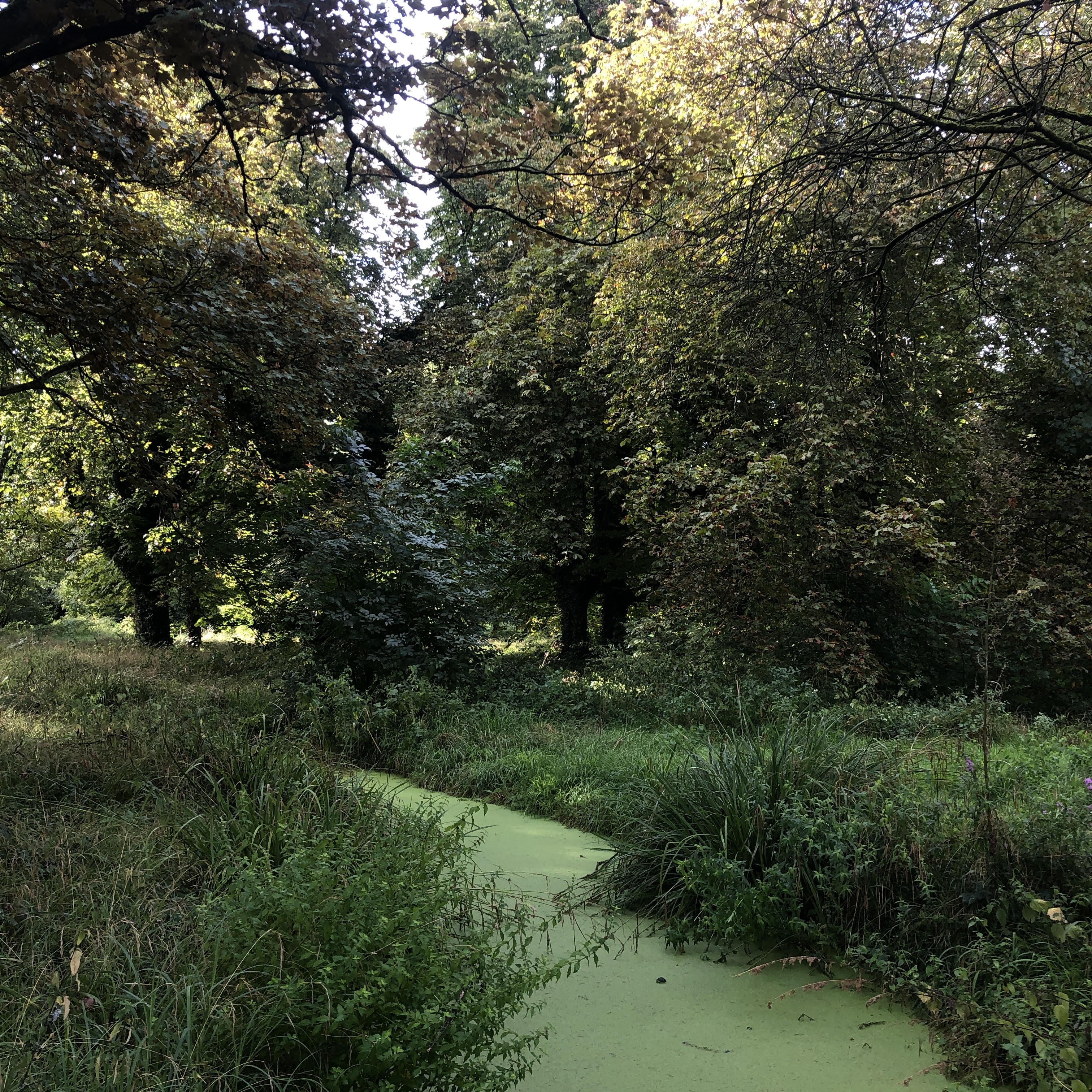 Photo n° 6 de l'avis de Munkhkhuslen.a fait le 29/08/2023 à 23:03