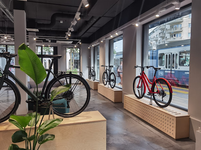 Rezensionen über Ampler Showroom | Light E-bike Test Rides in Zürich - Fahrradgeschäft