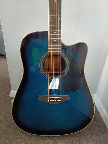 Comments and reviews of Artist Guitars NZ