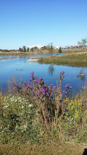 Gym «Wheeling Park District», reviews and photos, 333 W Dundee Rd, Wheeling, IL 60090, USA