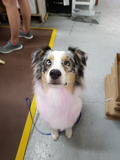 Pet Store «Teske Pet & Garden», reviews and photos, 2423 16th St, Moline, IL 61265, USA