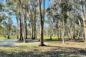 Hadera Forest image