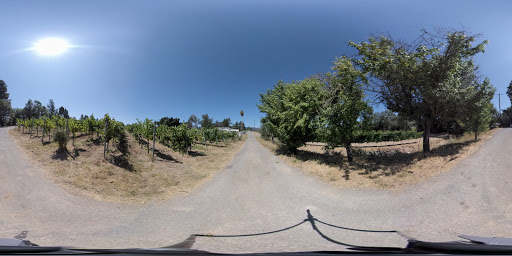 Winery «ACORN Winery/Alegria Vineyards», reviews and photos, 12040 Old Redwood Hwy, Healdsburg, CA 95448, USA