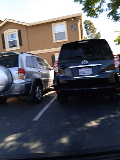 Craft Store «Michaels», reviews and photos, 1359 N McDowell Blvd, Petaluma, CA 94954, USA