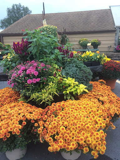 Florist «Parkview Gardens Florist & Greenhouse», reviews and photos, 1925 W Randolph St, St Charles, MO 63301, USA