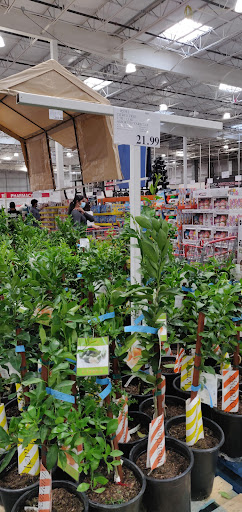 Warehouse store «Costco Wholesale», reviews and photos, 43621 Pacific Commons Blvd, Fremont, CA 94538, USA