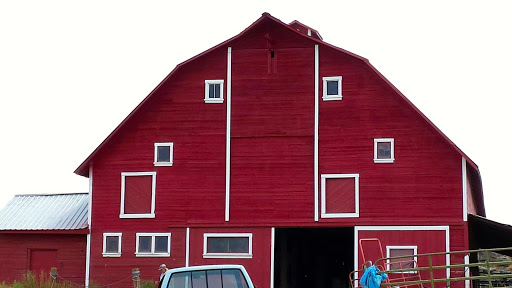 Painter «Chewelah Painting», reviews and photos