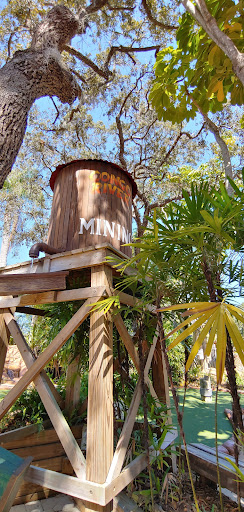 Miniature Golf Course «Congo River Golf», reviews and photos, 20060 US-19, Clearwater, FL 33764, USA