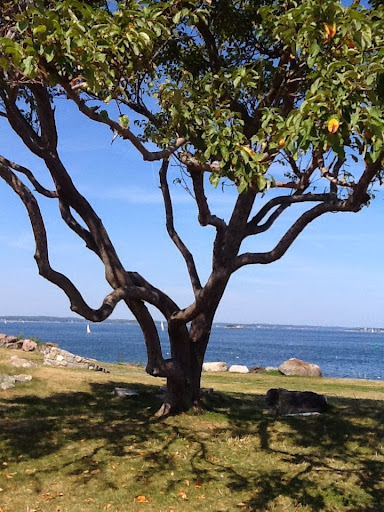 Park «Chandler Hovey Park», reviews and photos, Lighthouse Ln, Marblehead, MA 01945, USA