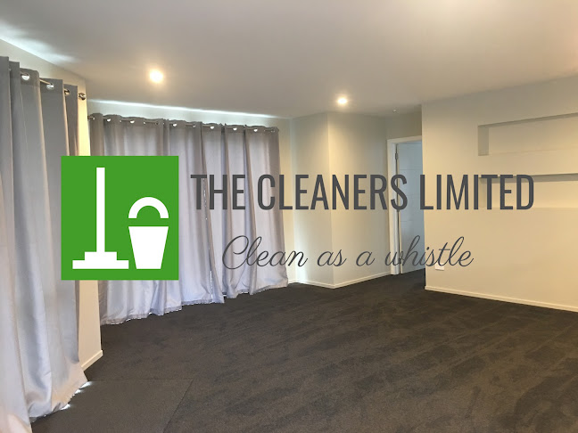 The Cleaners Limited Queenstown - Commercial/Residential - Queenstown