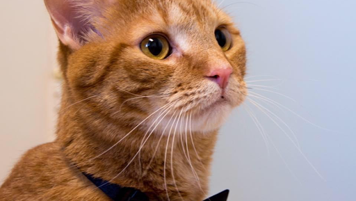 301 W 15th St T, Panama City, FL 32401, USA