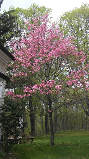 Nature Preserve «Audubon Greenwich», reviews and photos, 613 Riversville Rd, Greenwich, CT 06831, USA