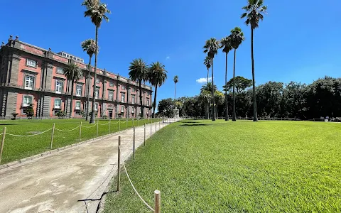 Museo e Real Bosco di Capodimonte image