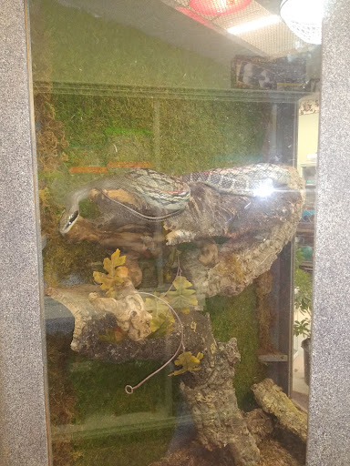 Pet Store «Wet Pet & Reptile Center», reviews and photos, 429 Eastern Blvd, Essex, MD 21221, USA