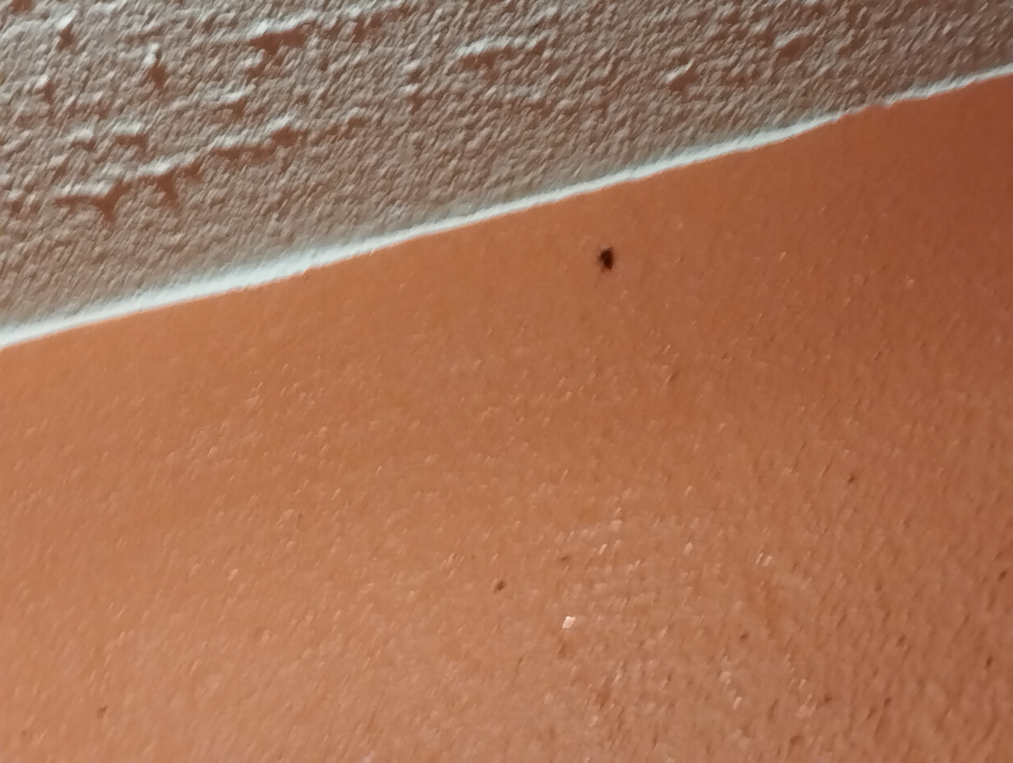 Photo n° 1 de l'avis de Tamir.A fait le 23/08/2022 à 16:42