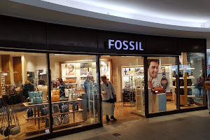 Fossil Store Belfast