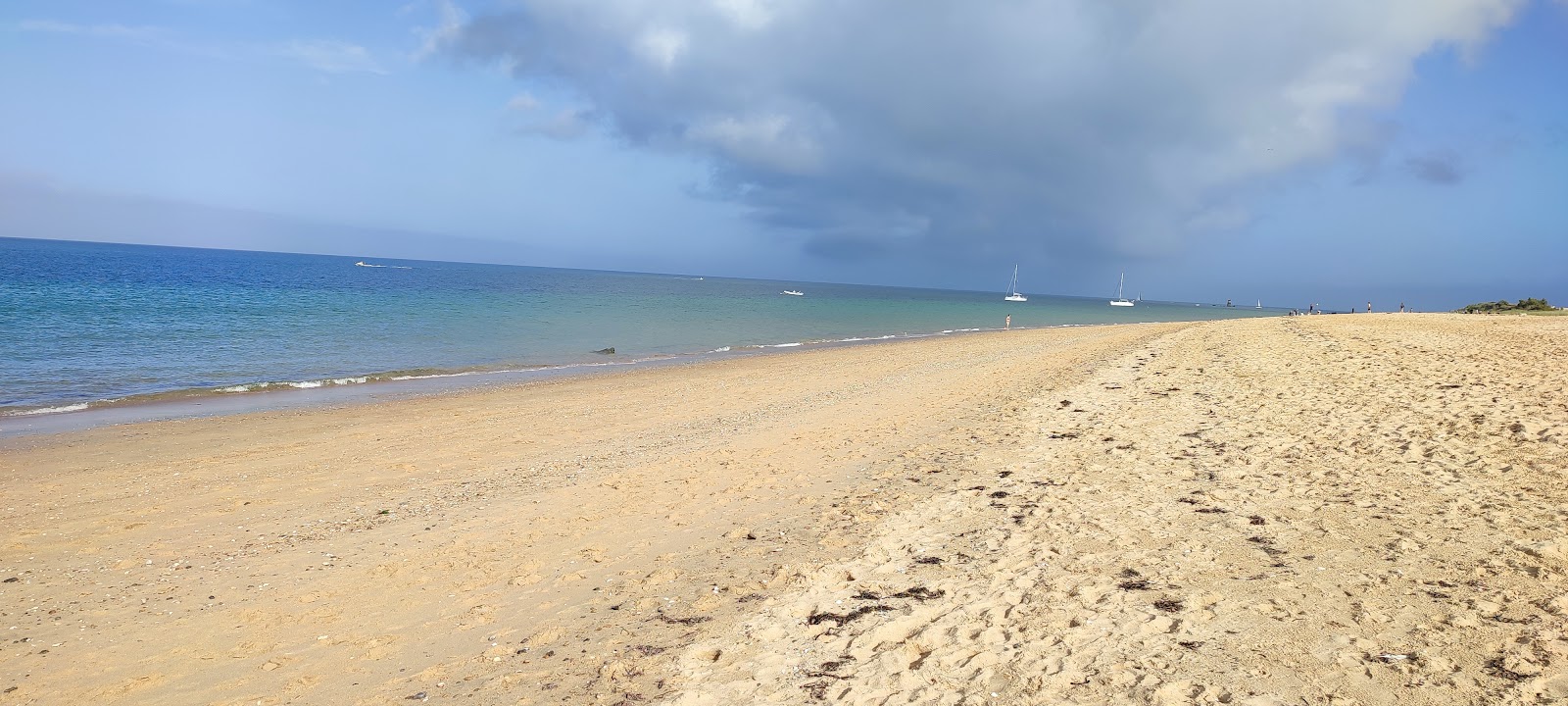 Foto di Plage de la Grande Conche con una superficie del sabbia beige