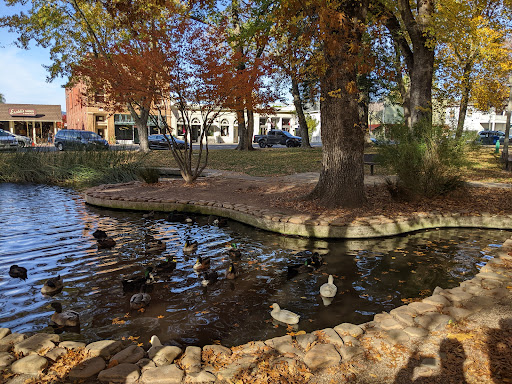 Sonoma Plaza image