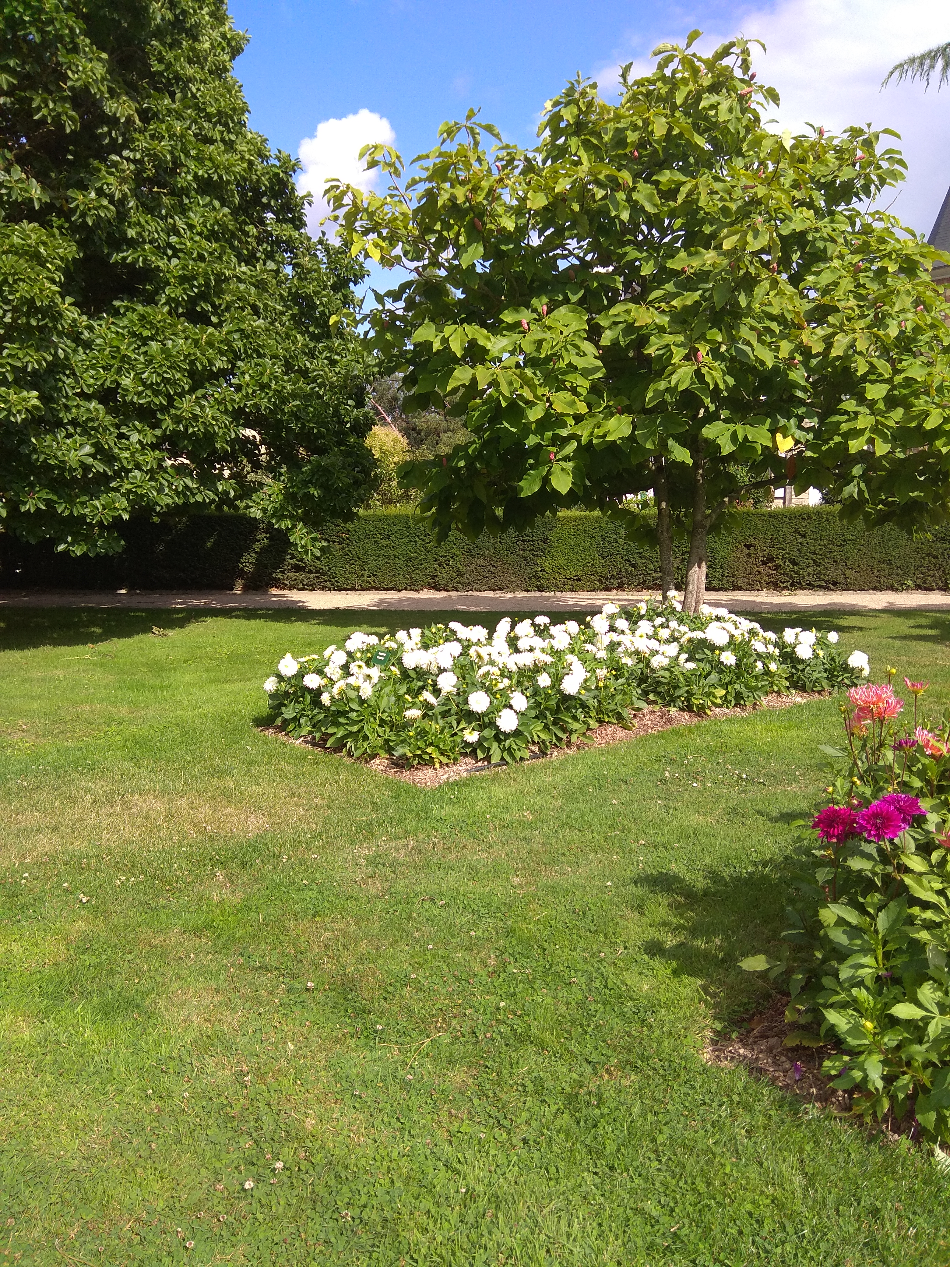 Photo n° 8 de l'avis de N..O fait le 11/08/2019 à 15:50